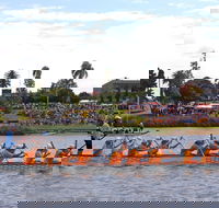 Jacaranda Dragon Boat Races - Rental Cars