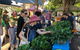 Lismore Produce Markets - thumb 1