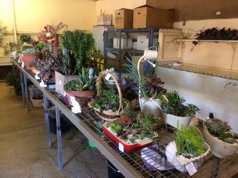 Narrabri Show - Rental Cars 2