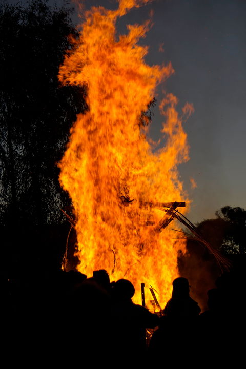 Newbridge Winter Solstice Festival - Rental Cars 1
