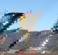 Nimbin Poetry World Cup - Rental Cars