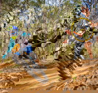 NSW State Downhill Mountain Bike Championships - Rental Cars