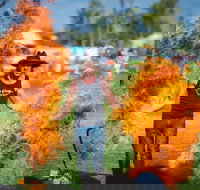 Outback Festival - Rental Cars