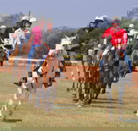 Pride of the West Races 2020 - Rental Cars