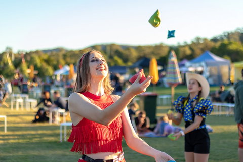 Ripley Markets - Rental Cars 2