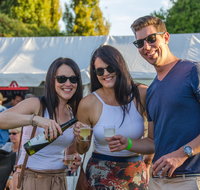 Stanthorpe Apple and Grape Harvest Festival - Rental Cars