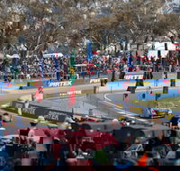 Supercars Supercheap Auto Bathurst 1000 - Rental Cars