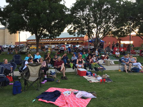 Temora New Years Family Fun Night - Rental Cars 0