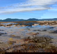 Walk to the Reef - Rental Cars