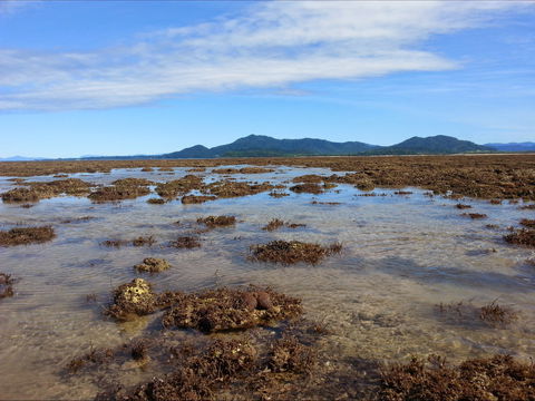 Walk To The Reef - Rental Cars 0