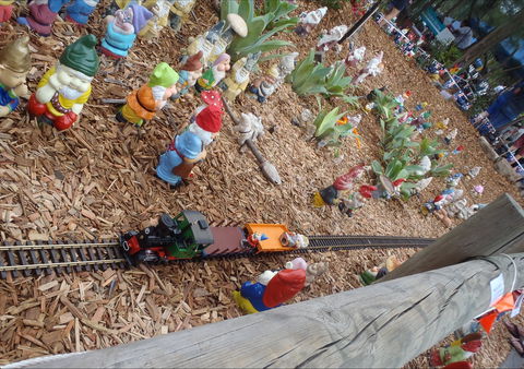 Australia Day With The Australian Gnome Convention Glenbrook - Rental Cars 2