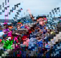 Bright Night Run Port Macquarie - Rental Cars