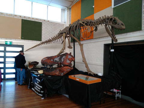 Carlingford Gem And Mineral Expo - Rental Cars 1