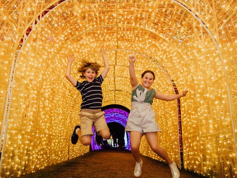 Christmas Lights Spectacular New Year's Eve At Hunter Valley Gardens - Rental Cars 0