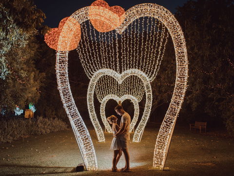 Christmas Lights Spectacular New Year's Eve At Hunter Valley Gardens - Rental Cars 1