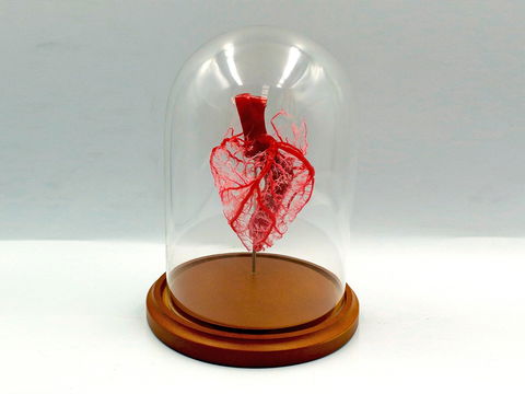 Corrosion Casting - Rental Cars 0