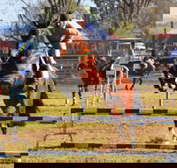 Glen Innes Pastoral and Agricultural Show - Rental Cars
