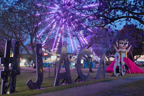 Grafton Jacaranda Festival - Rental Cars 0