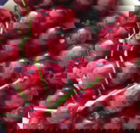 Griffith Rotary Market - Rental Cars