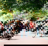 Hahndorf Christkindlmarkt - Rental Cars