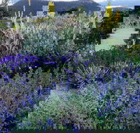 Highfield Gardens - Rental Cars