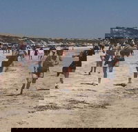 Perlubie Beach Sports Day - Rental Cars