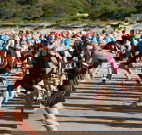 Port Stephens Triathlon Festival - Rental Cars