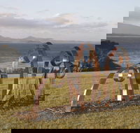 Sculpture Bermagui - Rental Cars