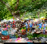 Stirling Laneways - Rental Cars