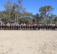 Australian Campdraft Association National Finals Campdraft 2021 - Rental Cars