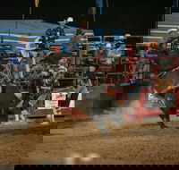 Black Opal Bull and Bronc Ride - Rental Cars