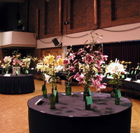 Burnie Lilium Show - Rental Cars