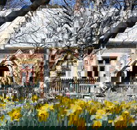 Daffodils at Rydal - Rental Cars
