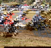 Dust Hustle Queensland Moto Park - Rental Cars