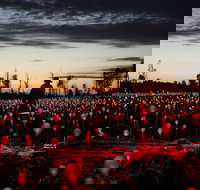 Field of Light Uluru - Rental Cars