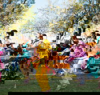 Griffith Spring Fest -  Multicultural Festival - Rental Cars