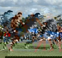 Griffith Shaheedi Tournament - Rental Cars