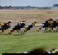 Jerilderie Gold Cup Races - Rental Cars