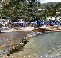 Lions Airlie Beach Community Markets - Rental Cars