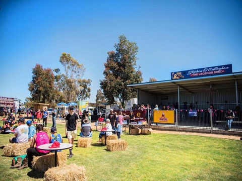 Mathoura Speed Shear And Annual Cancer Fundraiser - Rental Cars 0