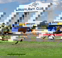 Moree Race Club TAB Race Day - Rental Cars