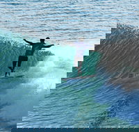 Port Stephens Surf Festival - Rental Cars