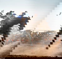 Rodeo by the Sea - Streaky Bay - Rental Cars