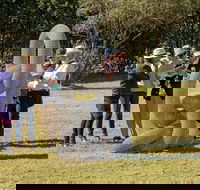 Sculpture for Clyde - Outdoor Exhibition - Rental Cars