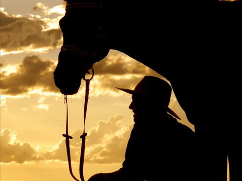 Talmoi Picnic Races - Rental Cars 1