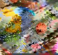 The Artist Market - Rental Cars