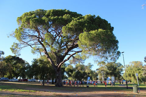 Wagga Parkrun - Rental Cars 1