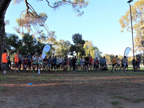 Wagga Parkrun - Rental Cars 2