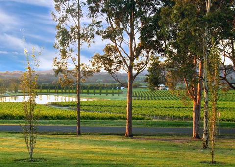 Estate Tuscany - Rental Cars 6