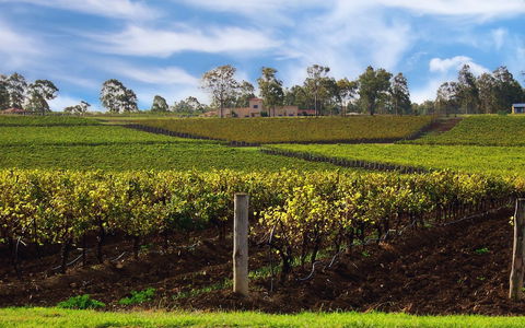 Estate Tuscany - Rental Cars 3